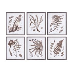 Framed Fern Print (Set of 6) 19.75"L x 23.75"H Wood/Paper