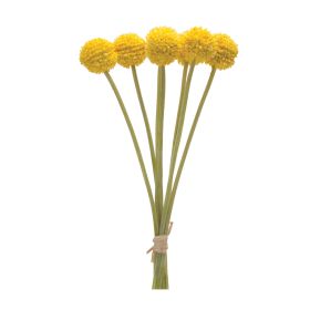 Pod Bundle (Set of 6) 13.25"H Plastic